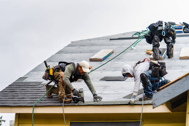 Professional Roof Installation technician working in Lowpoint, IL